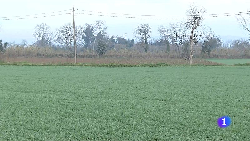 Les restriccions d'aigua a l'Alt Empordà preocupen els pagesos - L'Informatiu | Veure