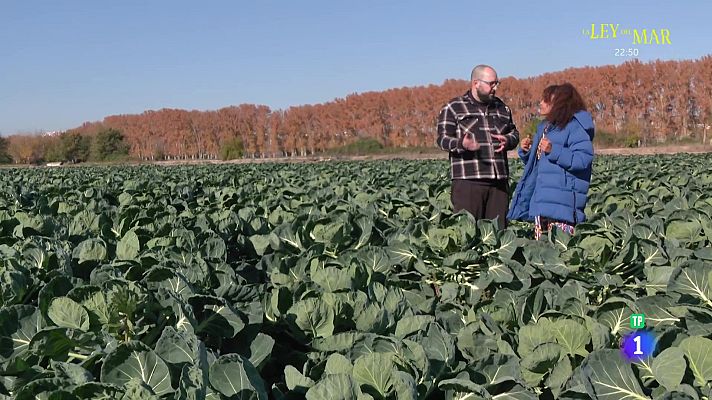 Aquí la Tierra - Las perlas del frío