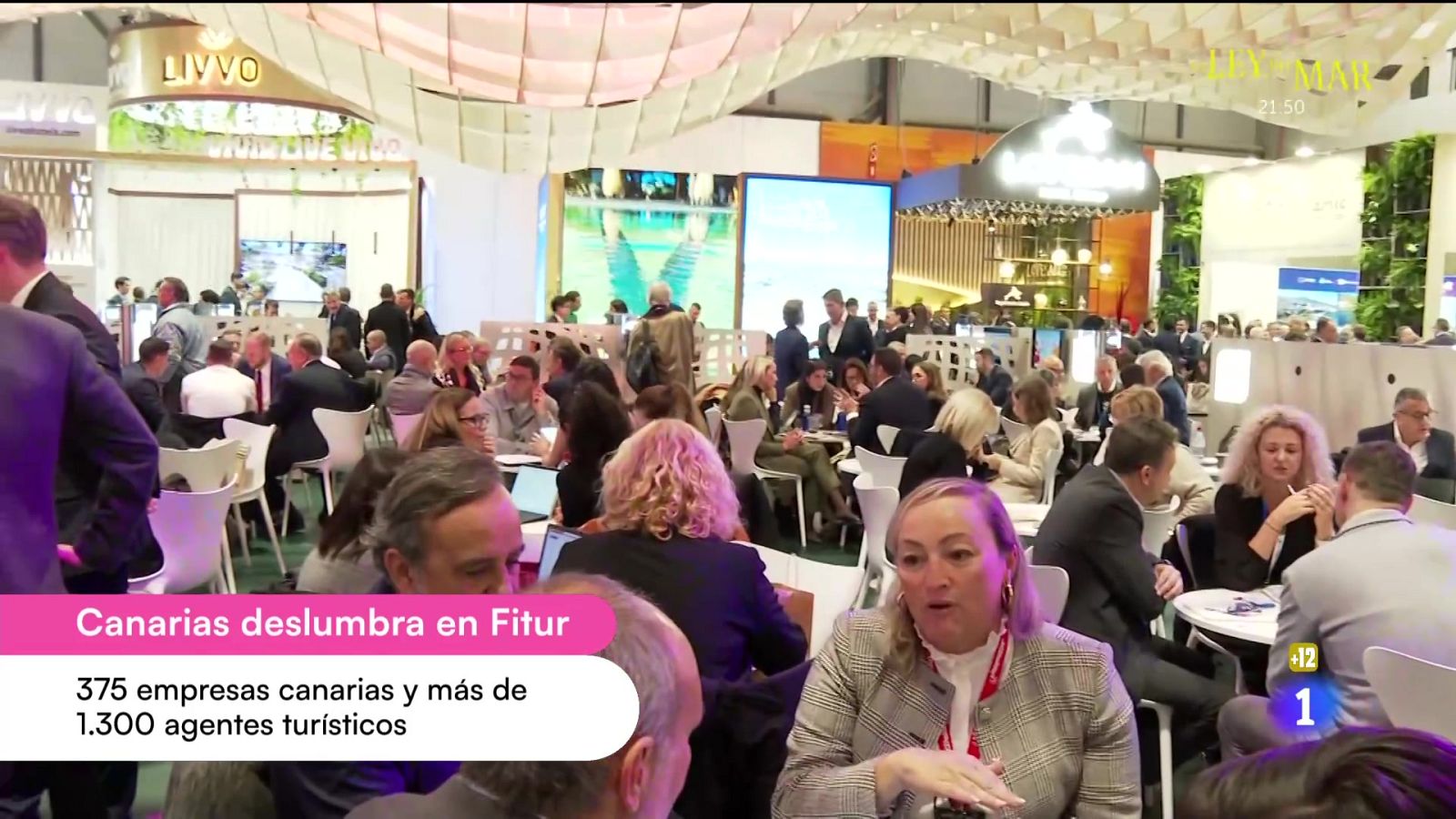 Cerca de ti - 22/01/2025 - Cerca de ti | Ver