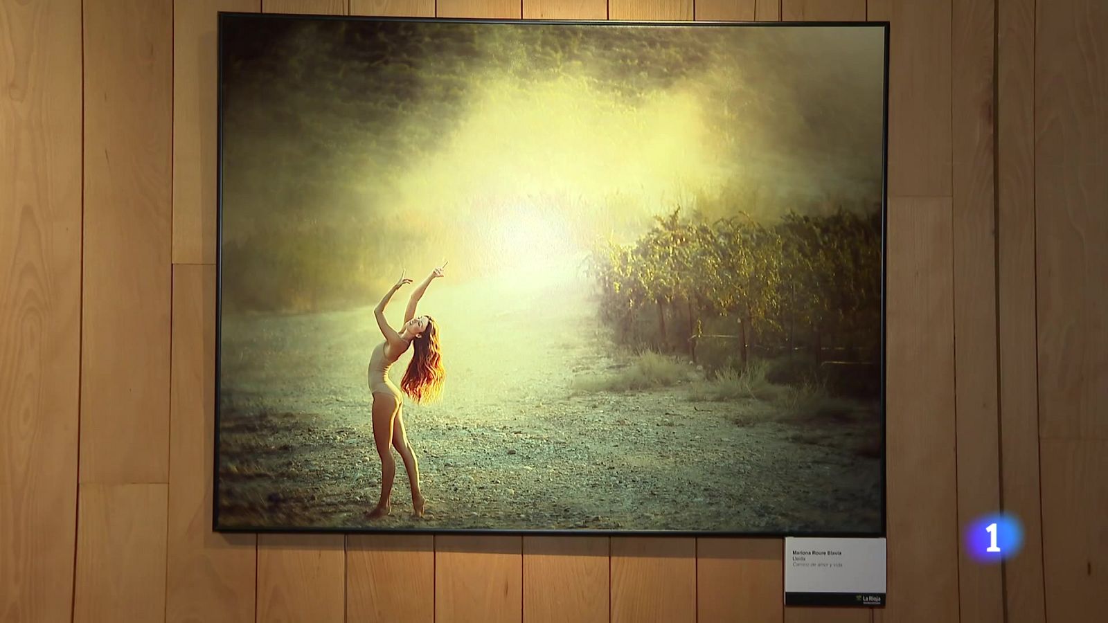 Informativo Telerioja 2 - 23-01-2025 - Informativo Telerioja | Ver