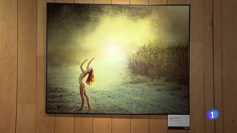 Informativo Telerioja 2 - 23-01-2025 - Informativo Telerioja | Ver