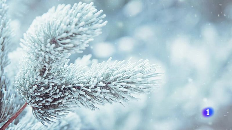 El tiempo en Galicia    24-01-2025 | Ver