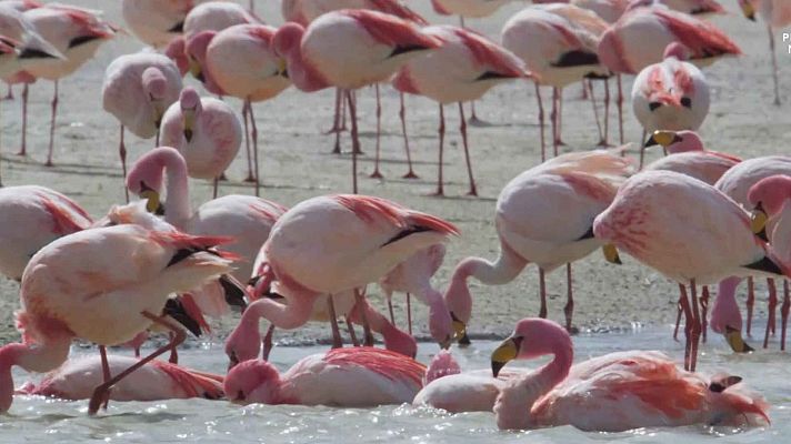 Argentina indómita - Tierra de supervivientes