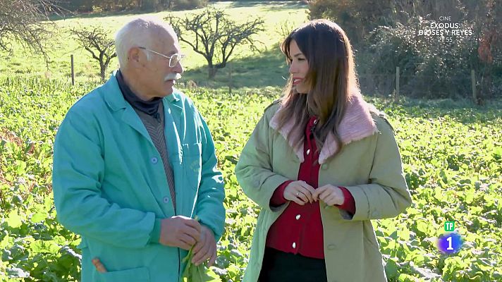 Aquí la Tierra - Los primeros grelos