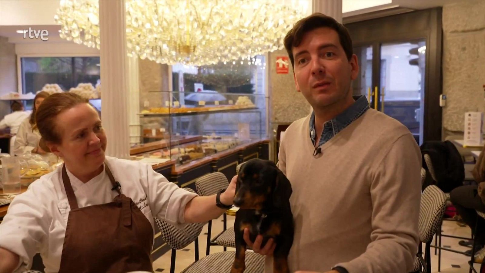 Zoom Tendencias - No sin mi perro - ver ahora