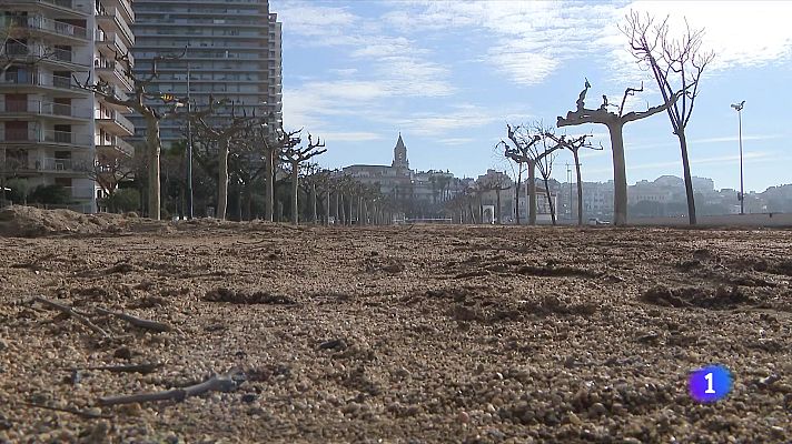 L'Informatiu - La reforma del passeig marítim de Palamós divideix els veïns