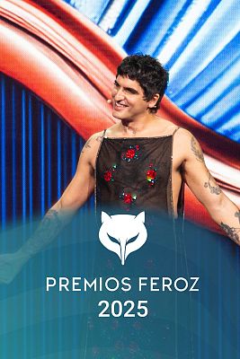 Premios Feroz - Premios Feroz 2025 - Lengua de signos