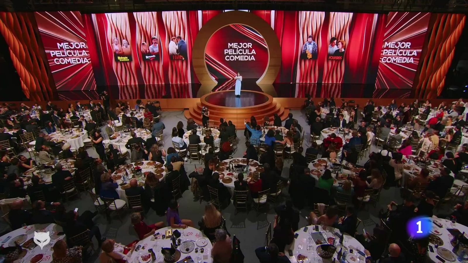 L'èxit del cinema català als Feroz fa somiar amb els Goya - L'Informatiu | Veure