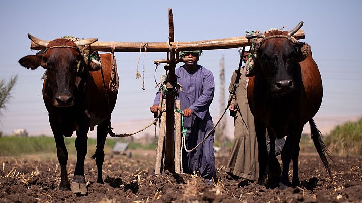 Antiguas civilizaciones - Orígenes