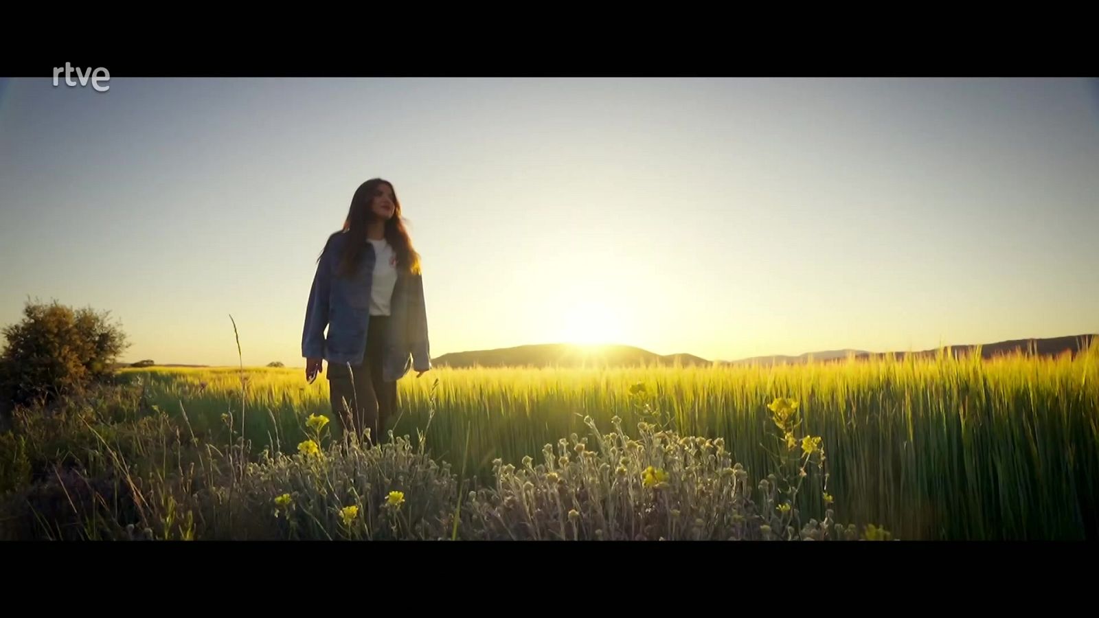 AI-GUA. Cataluña - ver ahora