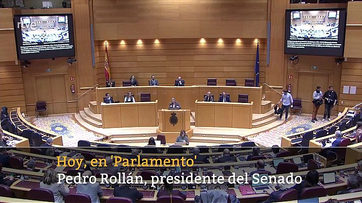 Parlamento - Resumen del 25/01/2025