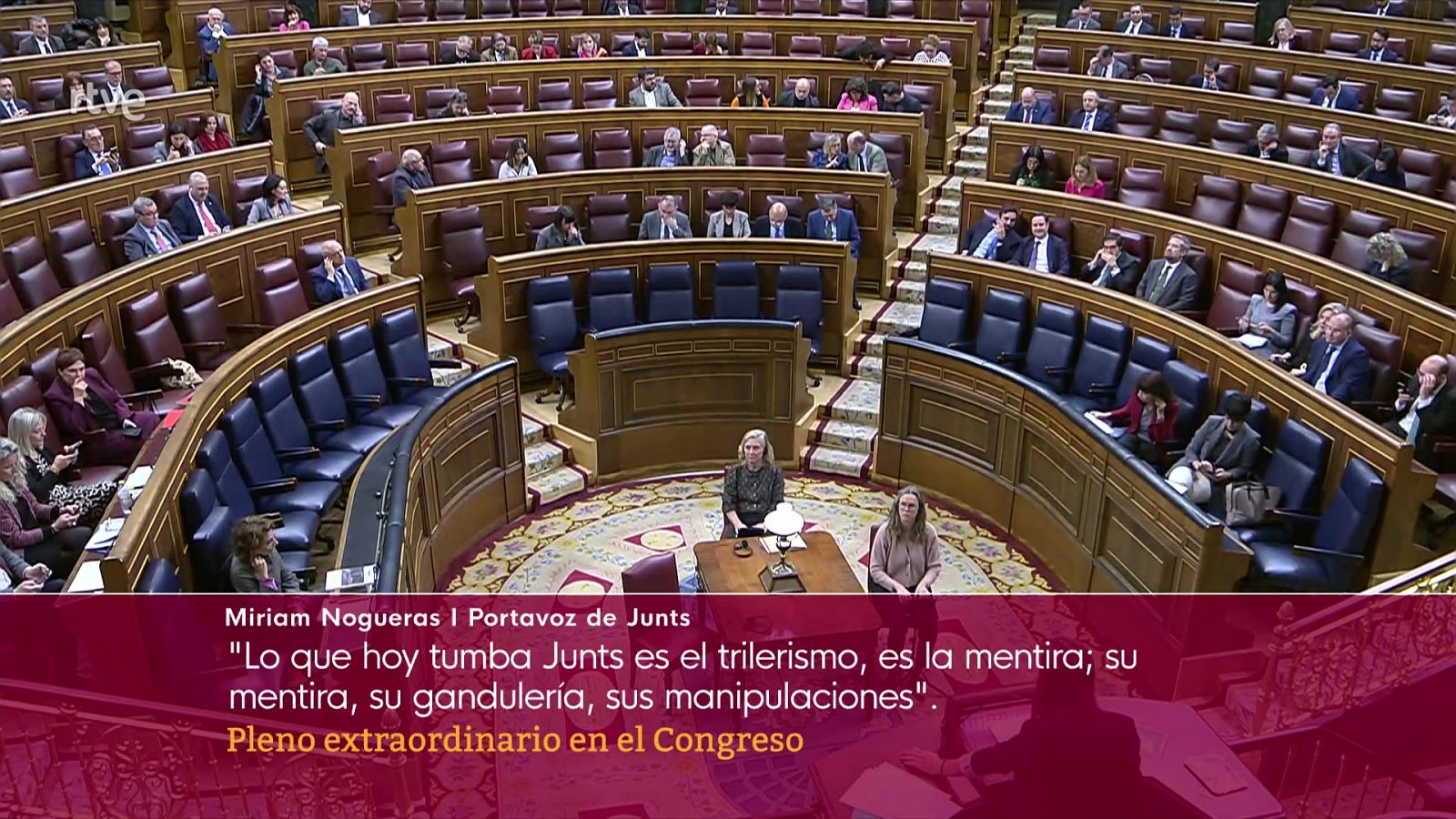 Pleno Extraordinario | Ver