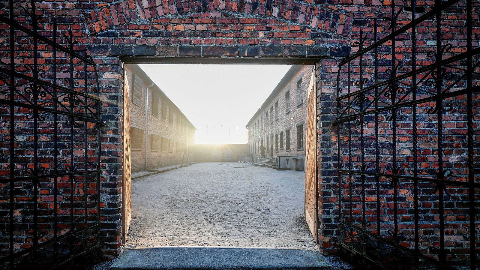 80 años de la liberación de Auschwitz - Telediario 1 | Ver