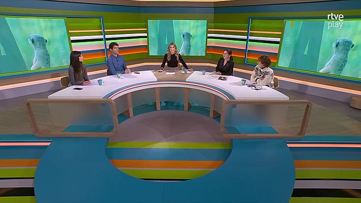 L'altaveu - Roben un suricata, calçots i el Benidorm Fest