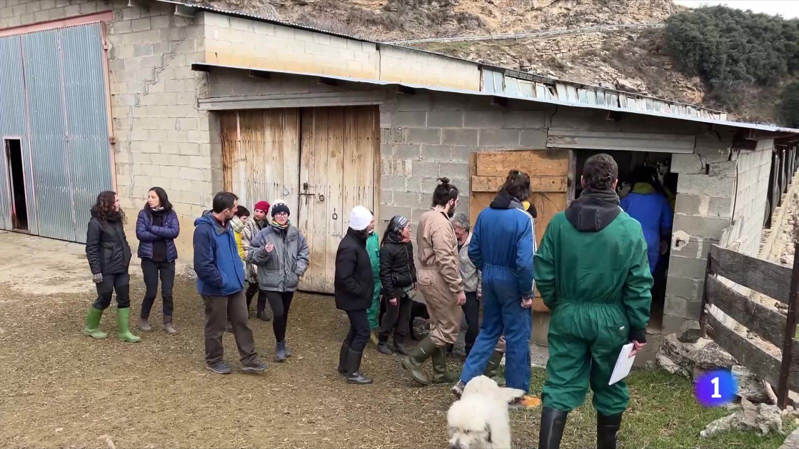 Més dones a l'escola de pastors del Pallars Sobirà - L'Informatiu | Veure