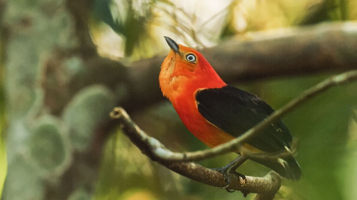 Argentina indómita - Tierra de agua