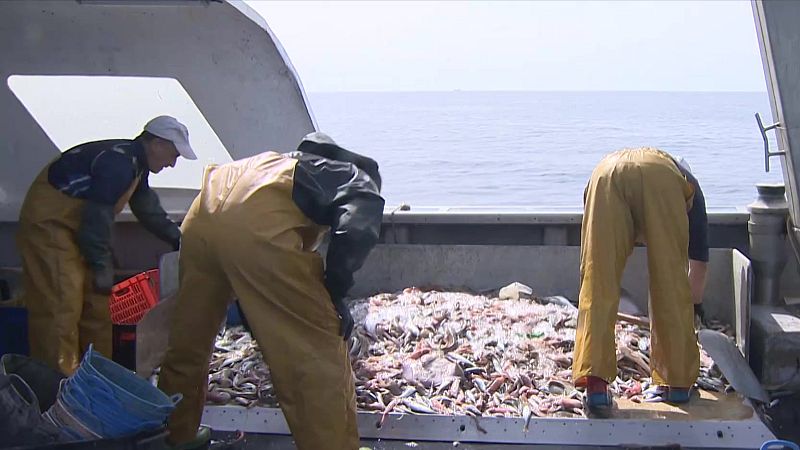 Llega la nueva pesca de arrastre con el fin de regenerar el fondo marino del Mediterráneo