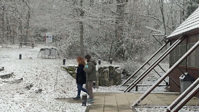 La naturaleza es la musa: una residencia literaria en la Segovia ms silenciosa