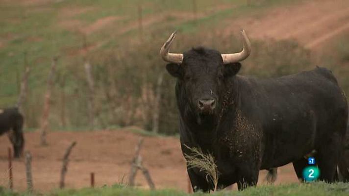 Tendido cero - Tendido Cero - 05/01/13