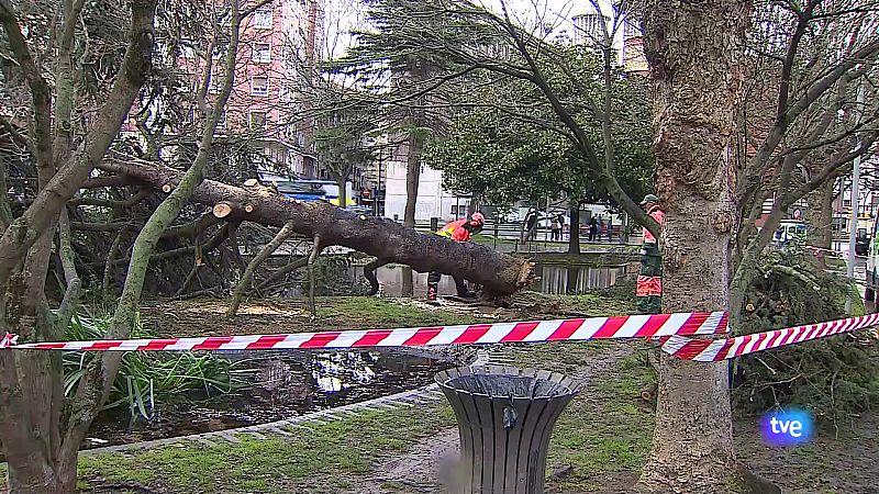 Panorama Regional - 28/01/2025 - Ver ahora