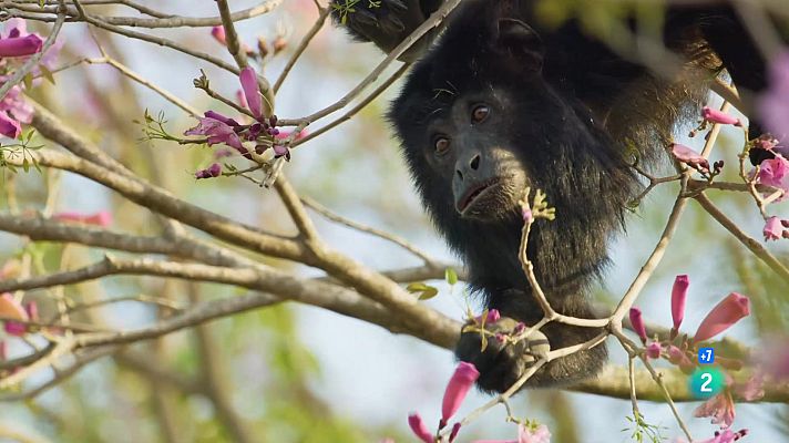 Som Documentals - L'Argentina Indòmita: Terra d'aigua