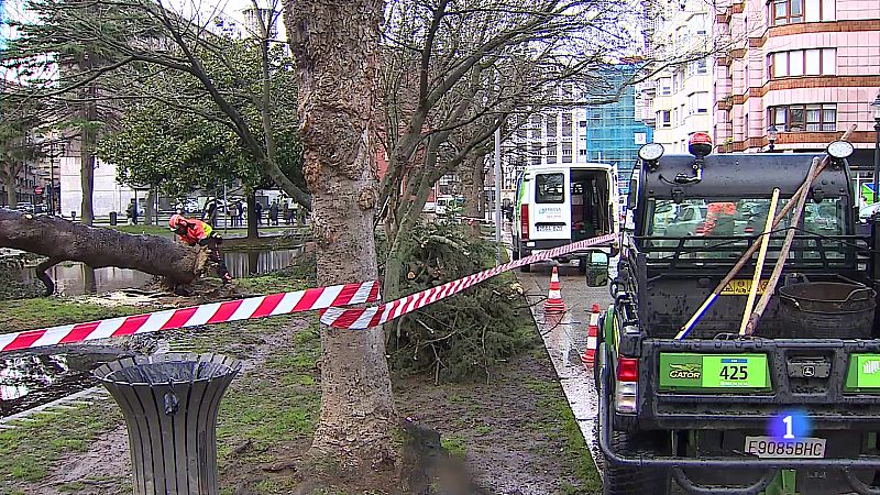 El tiempo en Asturias - 28/01/25 | Ver