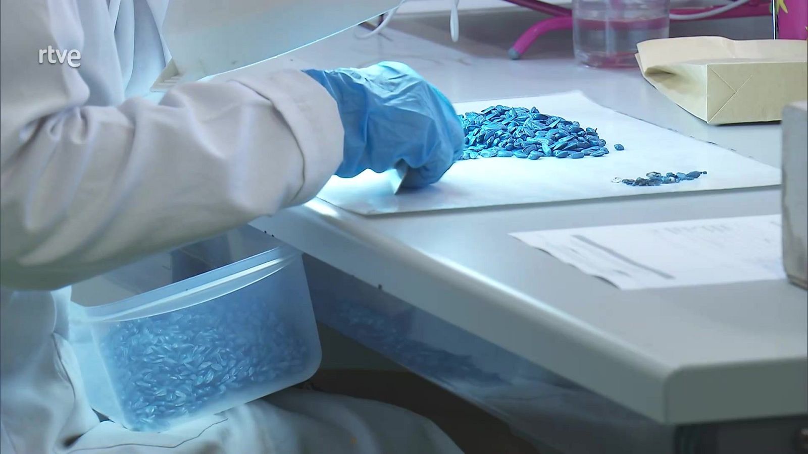 Ingenieros para el campo y más - Aquí hay trabajo | Ver