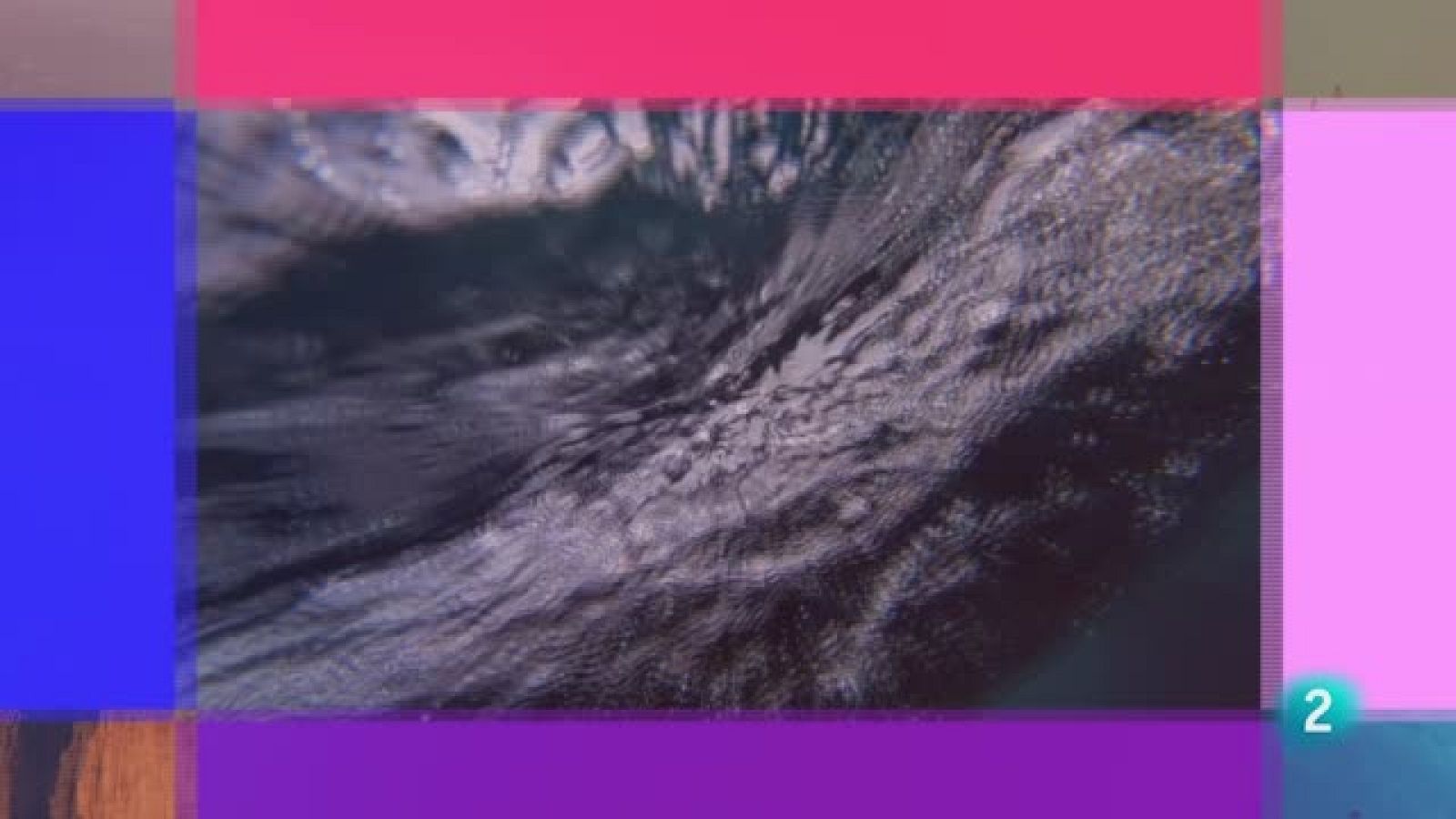 Somos 8 - 28/01/2025 - Somos 8 | Ver