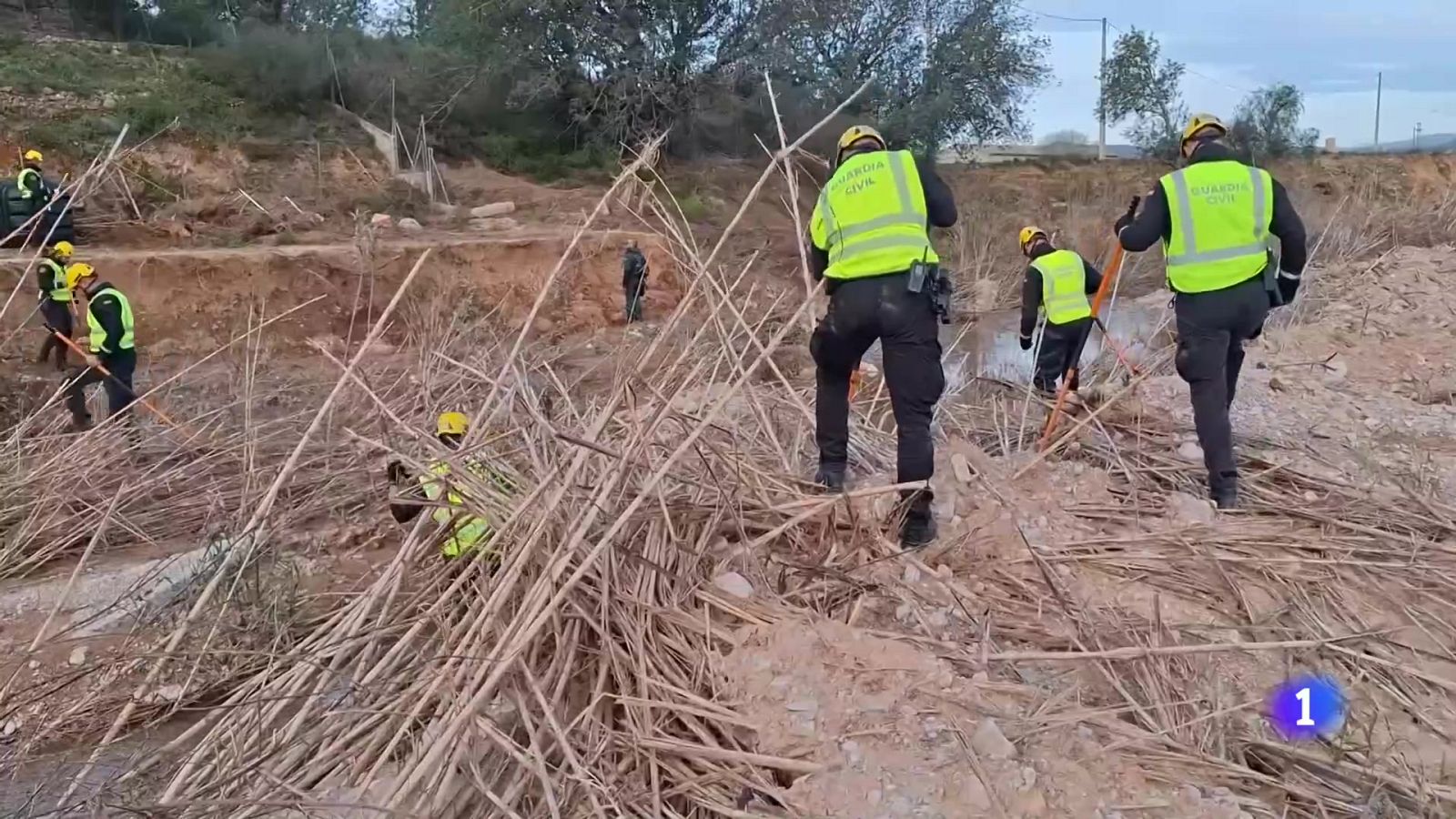 L'Informatiu de la Comunitat Valenciana 1 - 29/01/25 | Ver