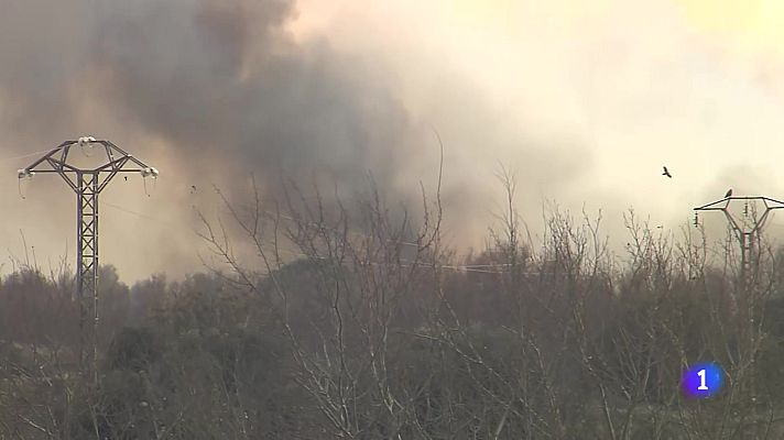 L'informatiu - Comunitat Valenciana - L'Informatiu de la Comunitat Valenciana 2 - 29/01/25