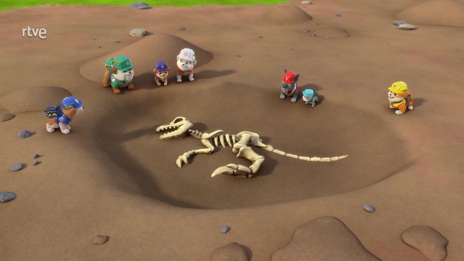 El equipo construye un museo de dinosaurios - Equipo Rubble | Ver