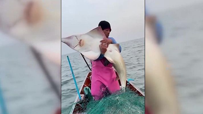 Aquí la Tierra - Un pez muy afortunado