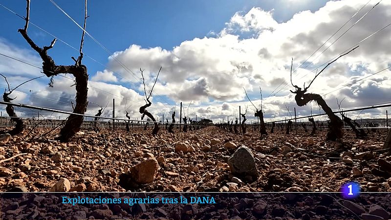 L'Informatiu de la Comunitat Valenciana 2 - 30/01/25 | Ver