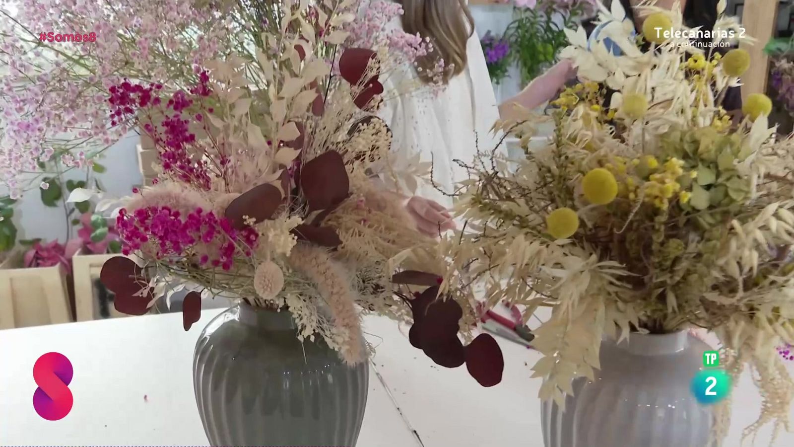 Somos 8 - 30/01/2025 - Somos 8 | Ver