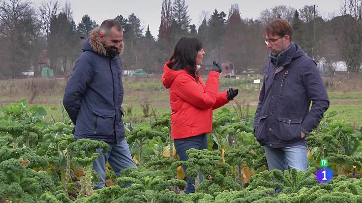 Aquí la Tierra - Una granja (casi) milenaria
