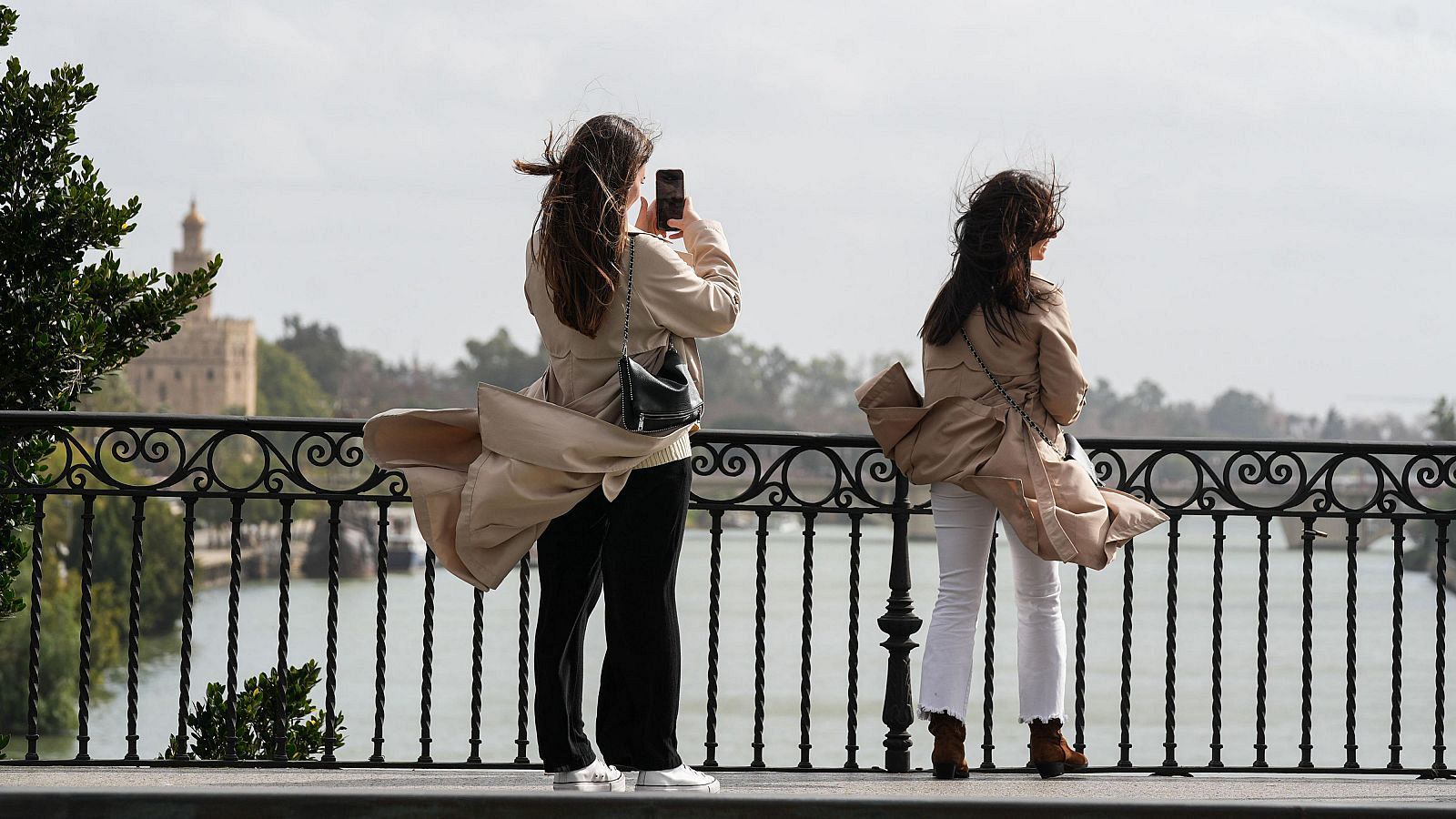 El tiempo matinal - 31/1/2025 - El tiempo | Ver
