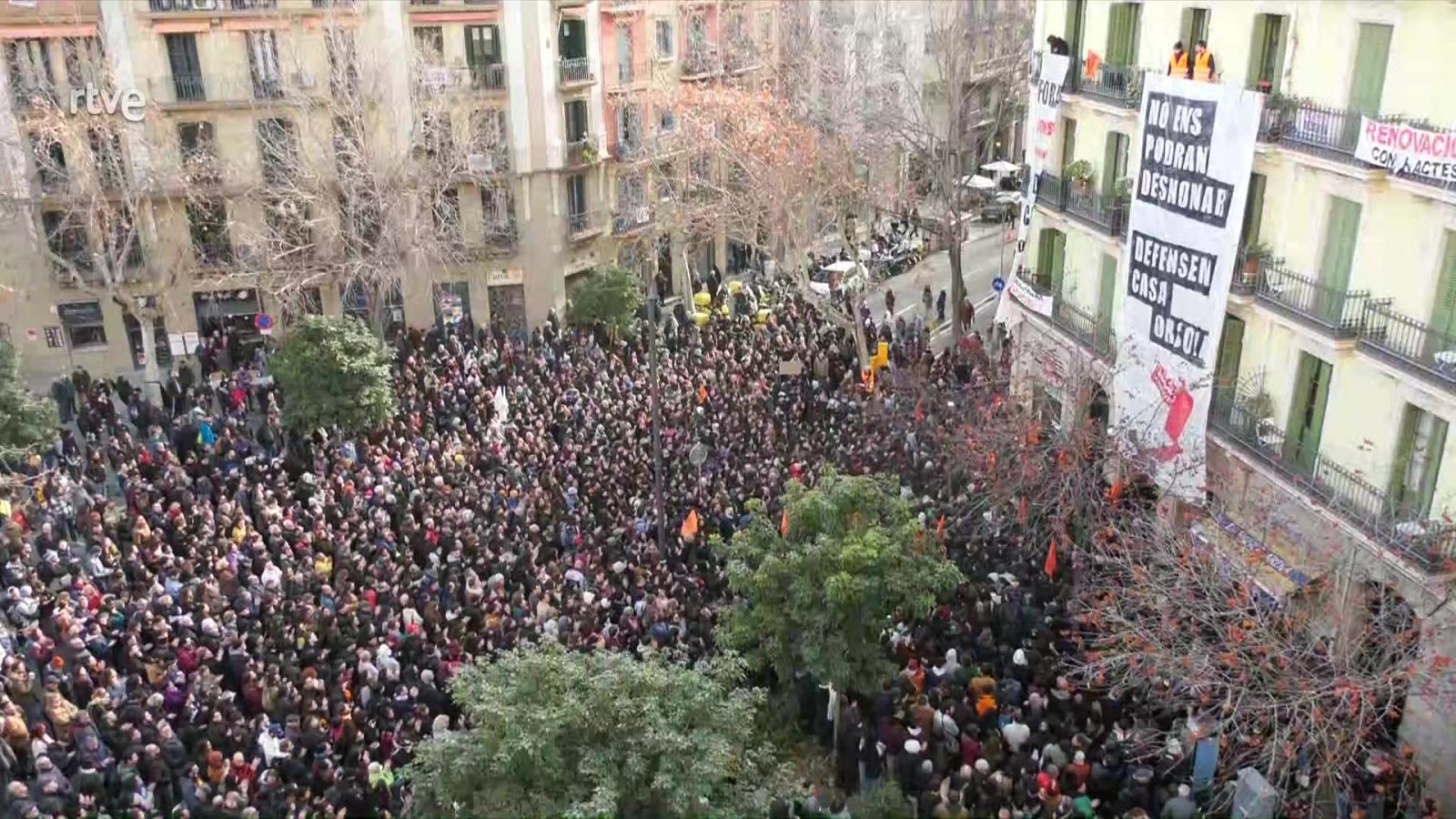 Diario 24 - 31/01/25 - ver ahora