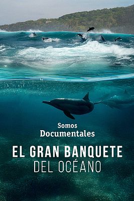 Somos Documentales - El gran banquete del océano
