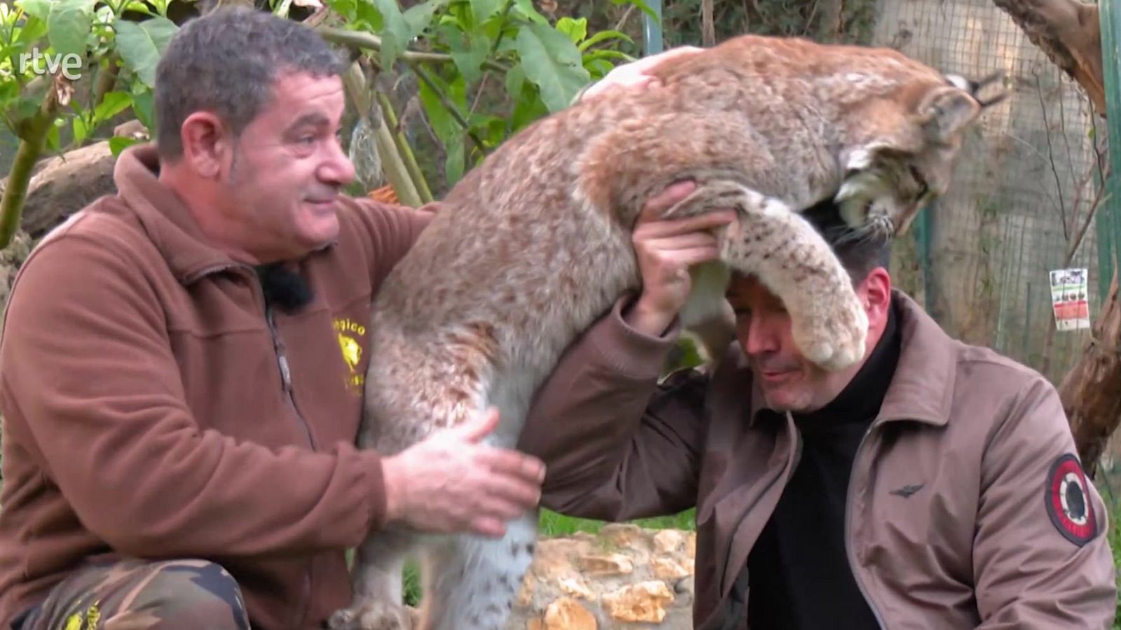 El señor de los animales | Ver