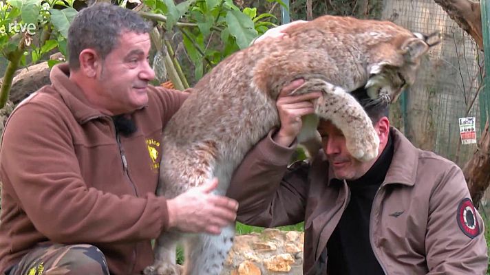 Aquí la Tierra - El señor de los animales