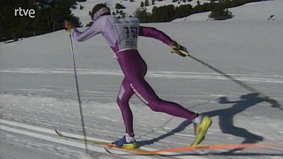 Marxadors sobre la neu