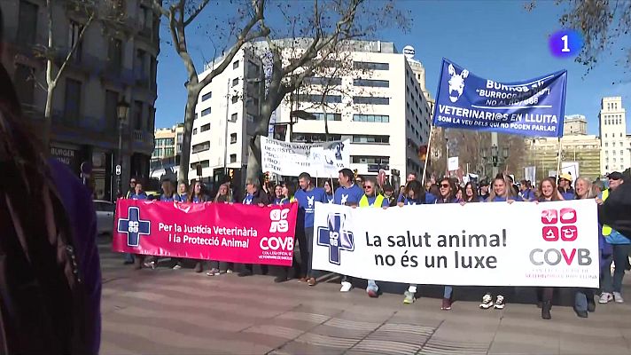 L'Informatiu - Centenars de veterinaris protesten contra la nova normativa per l'alta burocràcia
