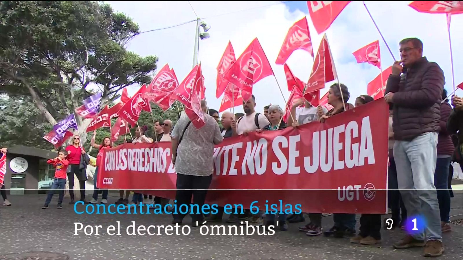 Canarias en 2' - 02/02/2025 | Ver