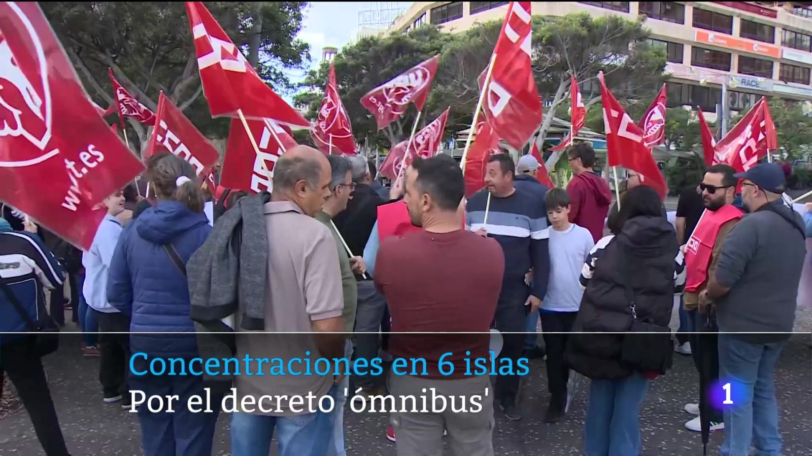 Telecanarias - 02/02/2025 | Ver