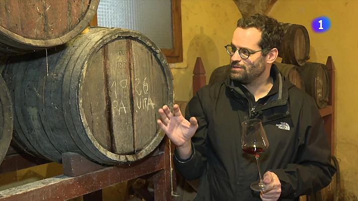 L'Informatiu - Catalunya té 391 vinyes velles, un patrimoni històric