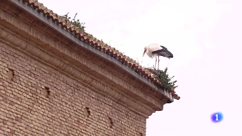 Informativo Telerioja - 03-02-2025 | Ver