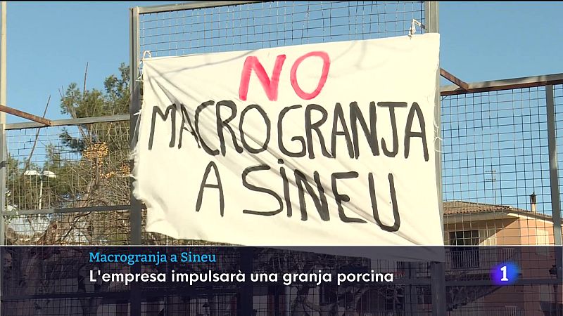 Informatiu Balear 1 - 03/02/25 Veure ara