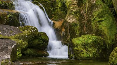 Rutas increbles - Episodio 4: Nueva Zelanda - ver ahora