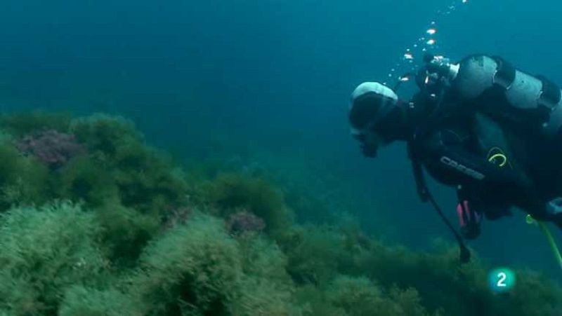 Al filo de lo imposible - Eduard Admetlla - Ver ahora