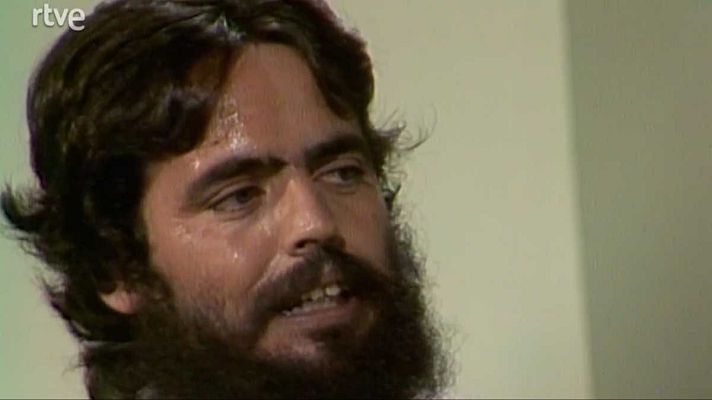 Usted, por ejemplo - Vivir en España